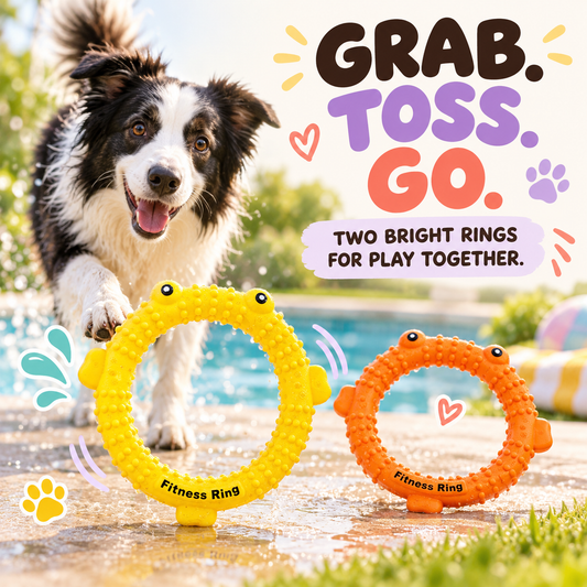 Aqua Grip Fetch Ring in a playful lifestyle scene