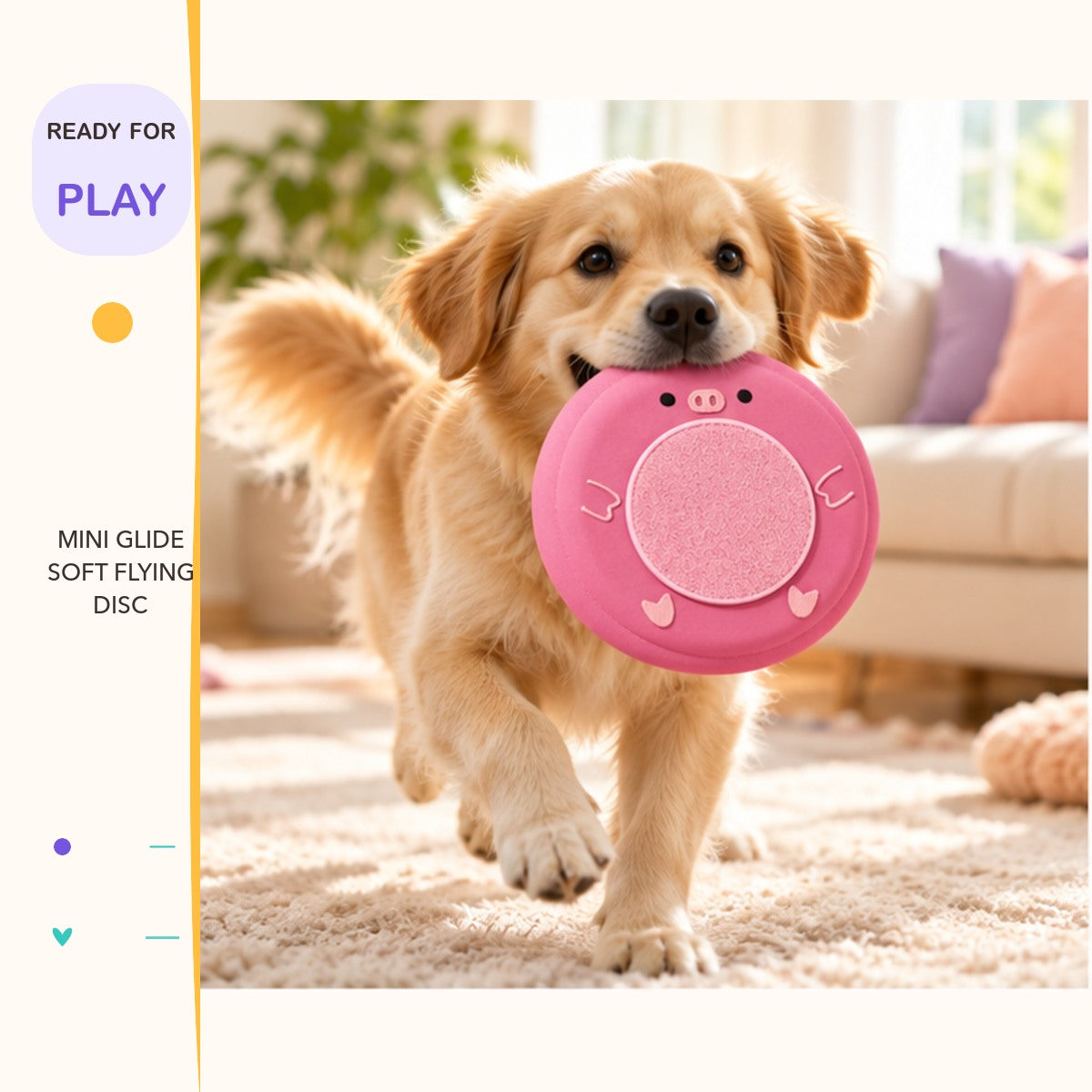 Mini Glide Soft Flying Disc in a playful lifestyle scene