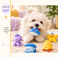 Ocean Friends Squeaky Toy in a playful lifestyle scene