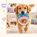 Splash & Tug Flying Ring in a playful lifestyle scene