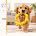 Aqua Grip Fetch Ring in a playful lifestyle scene