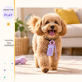 Poop Pal Bag Dispenser in a playful lifestyle scene