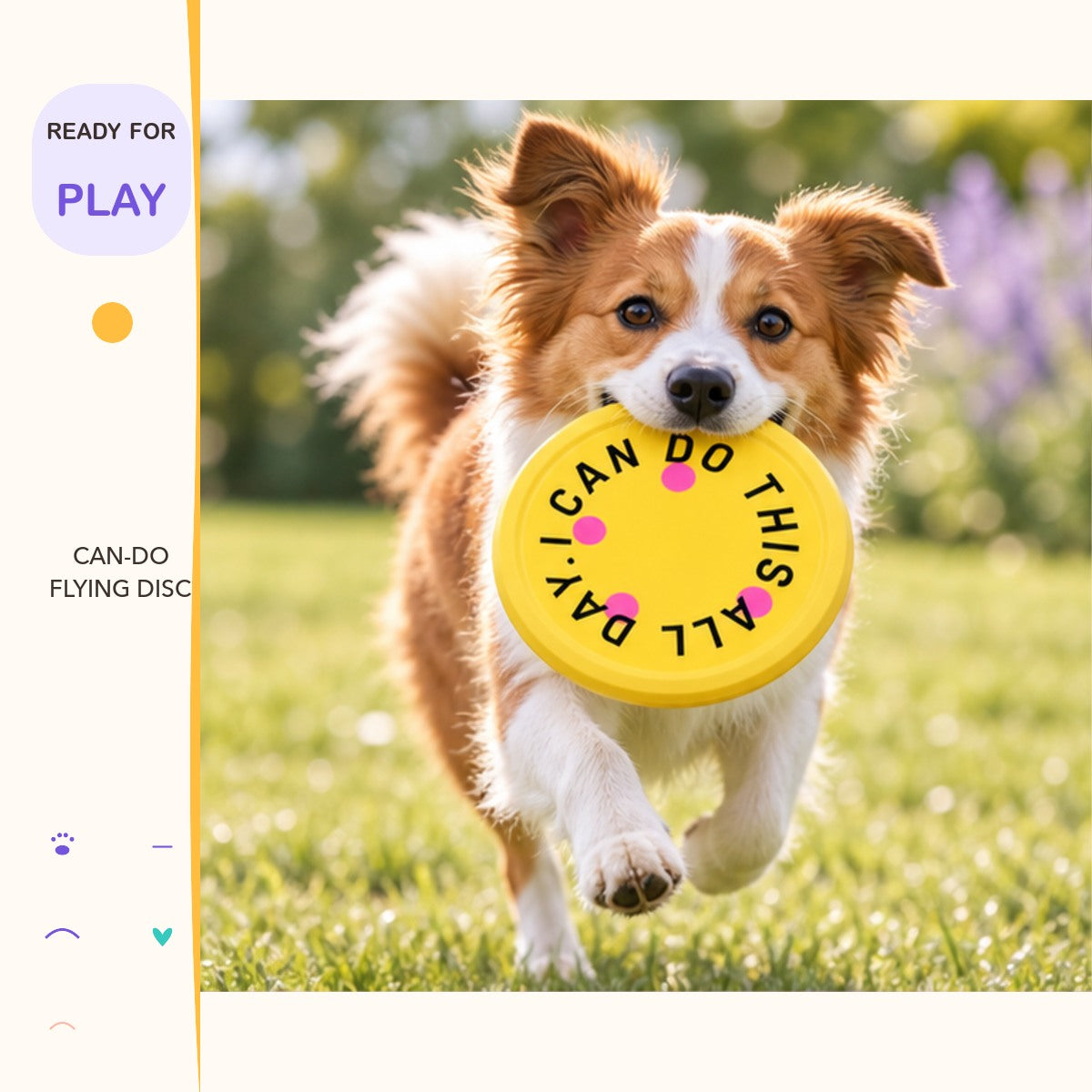 Can-Do Flying Disc in a playful lifestyle scene