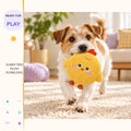 Sunny Trio Plush Flying Disc in a playful lifestyle scene