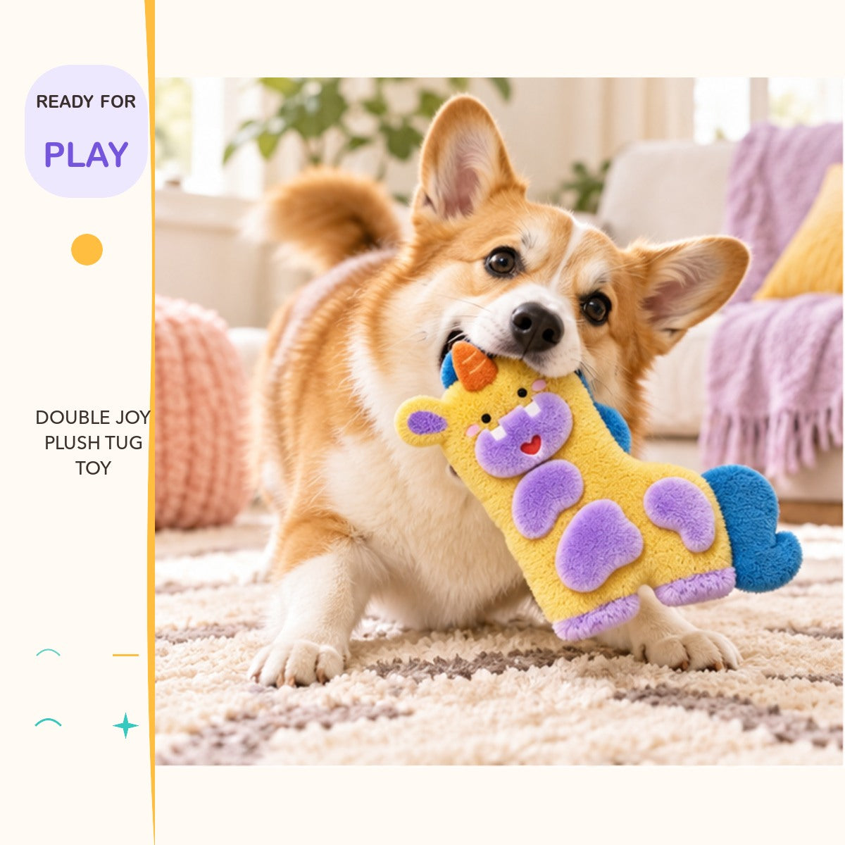 Double Joy Plush Tug Toy in a playful lifestyle scene