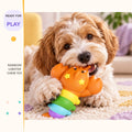 Rainbow Lobster Chew Toy in a playful lifestyle scene