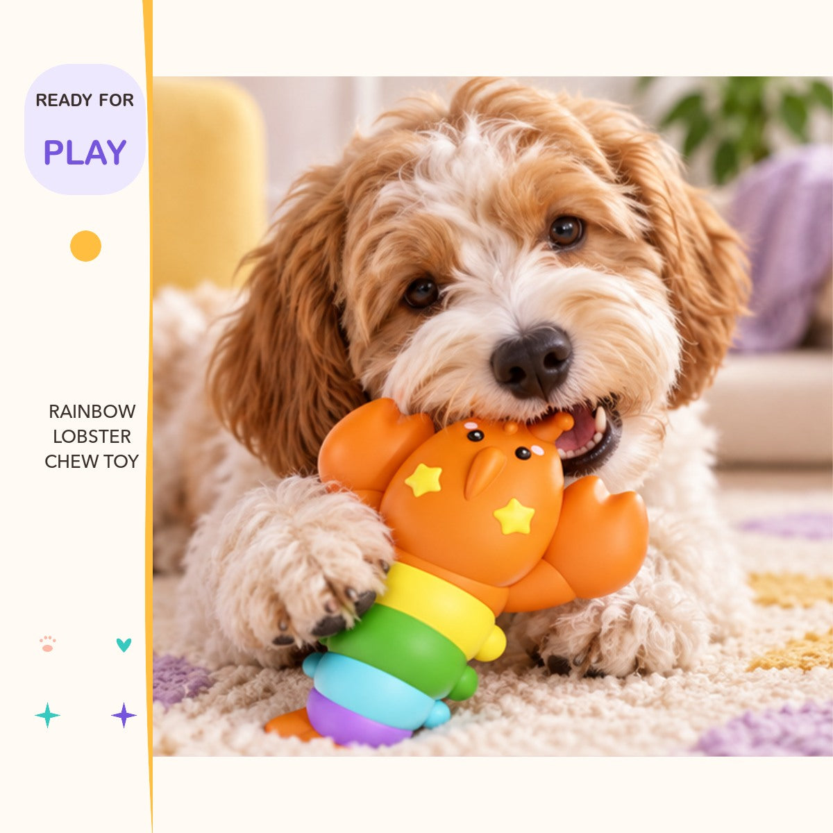 Rainbow Lobster Chew Toy in a playful lifestyle scene