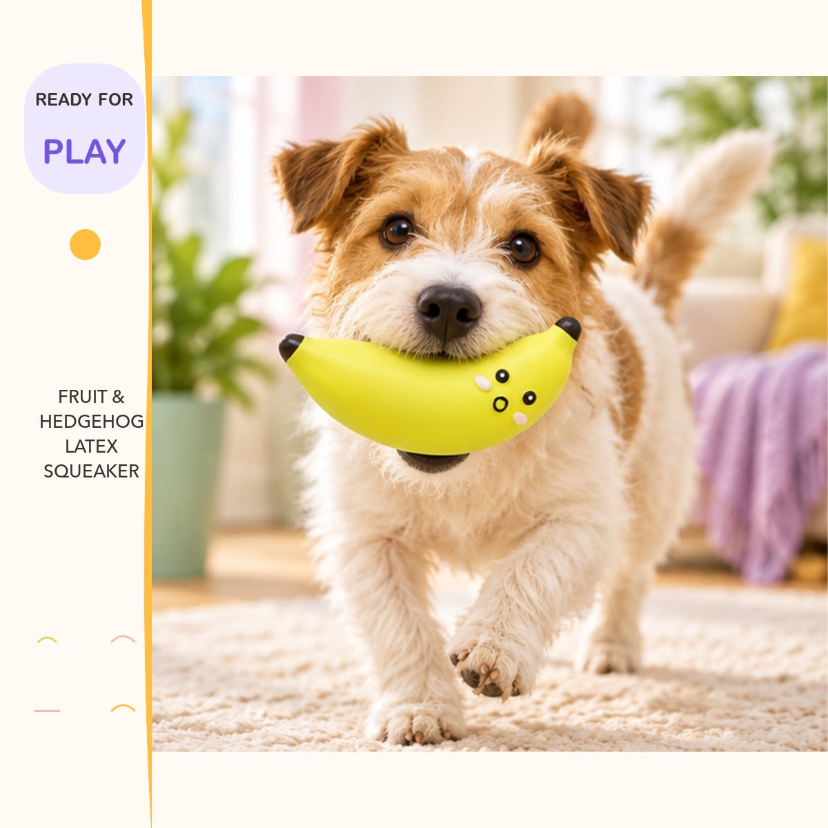 Fruit & Hedgehog Latex Squeaker in a playful lifestyle scene