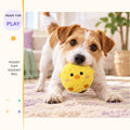 Pocket Puff Squeaky Ball in a playful lifestyle scene
