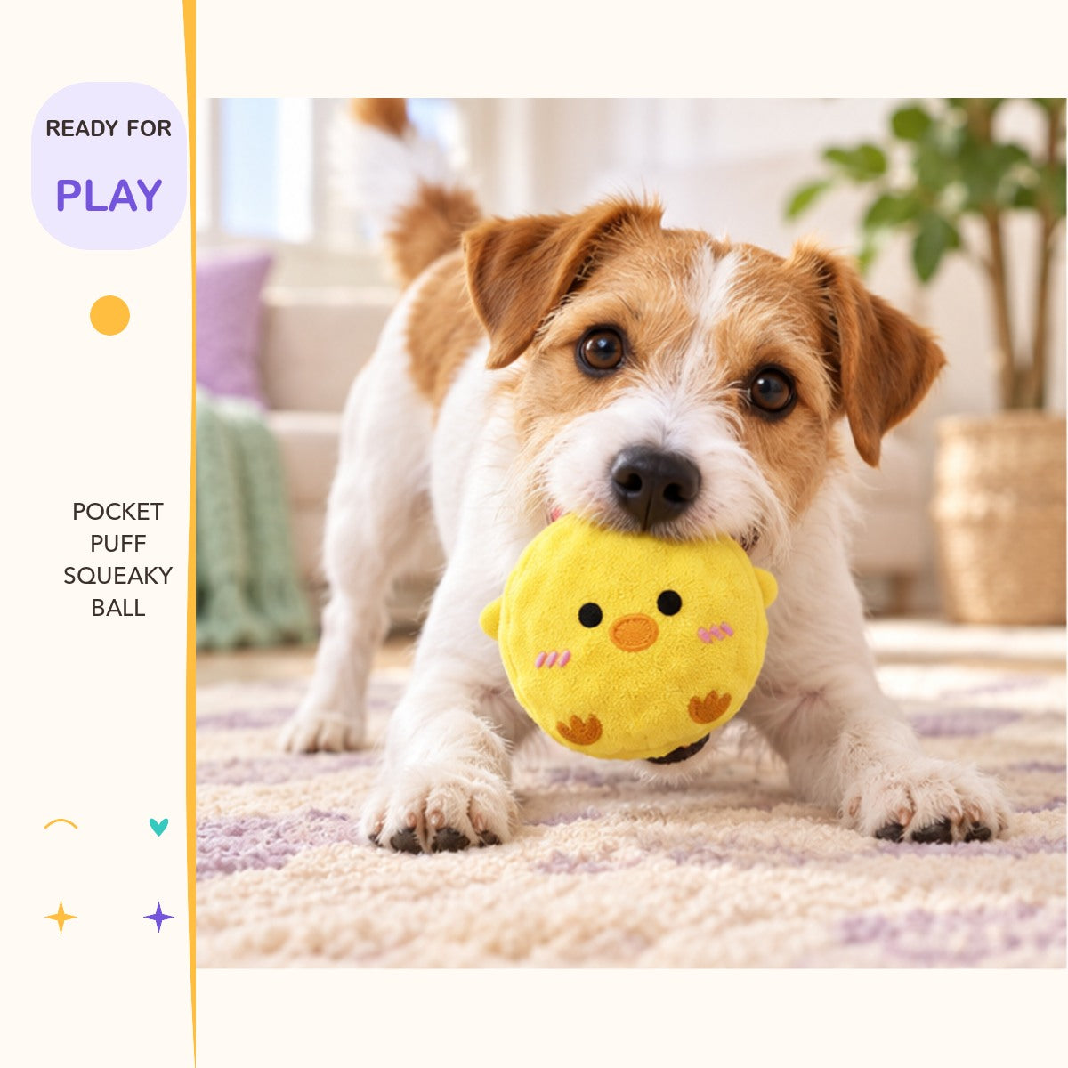 Pocket Puff Squeaky Ball in a playful lifestyle scene