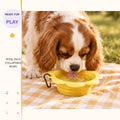 Petal Pack Collapsible Bowl in a playful lifestyle scene