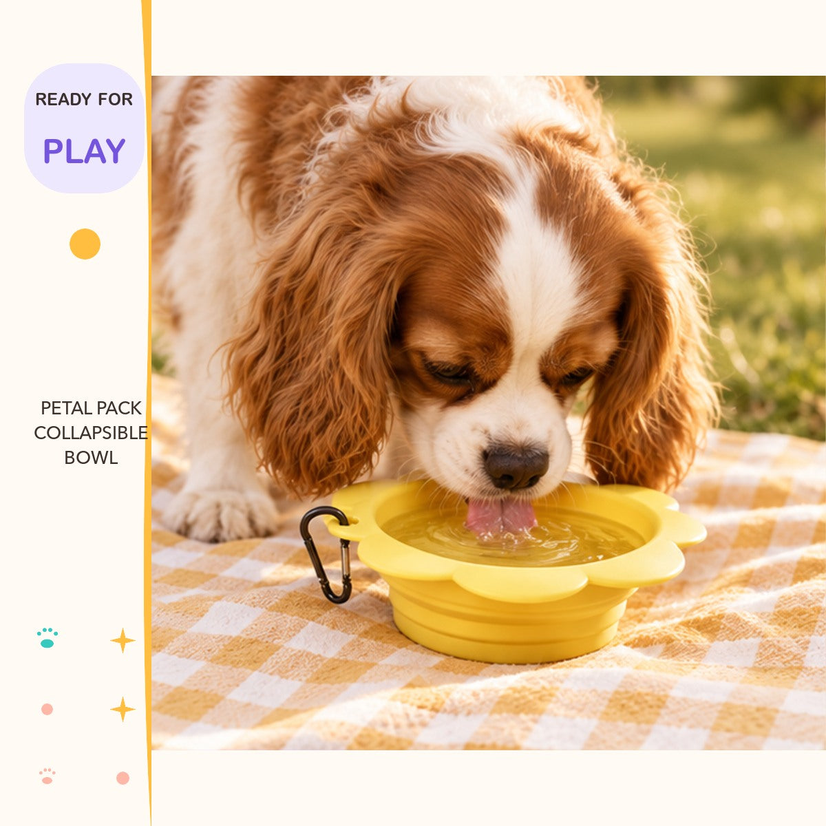 Petal Pack Collapsible Bowl in a playful lifestyle scene