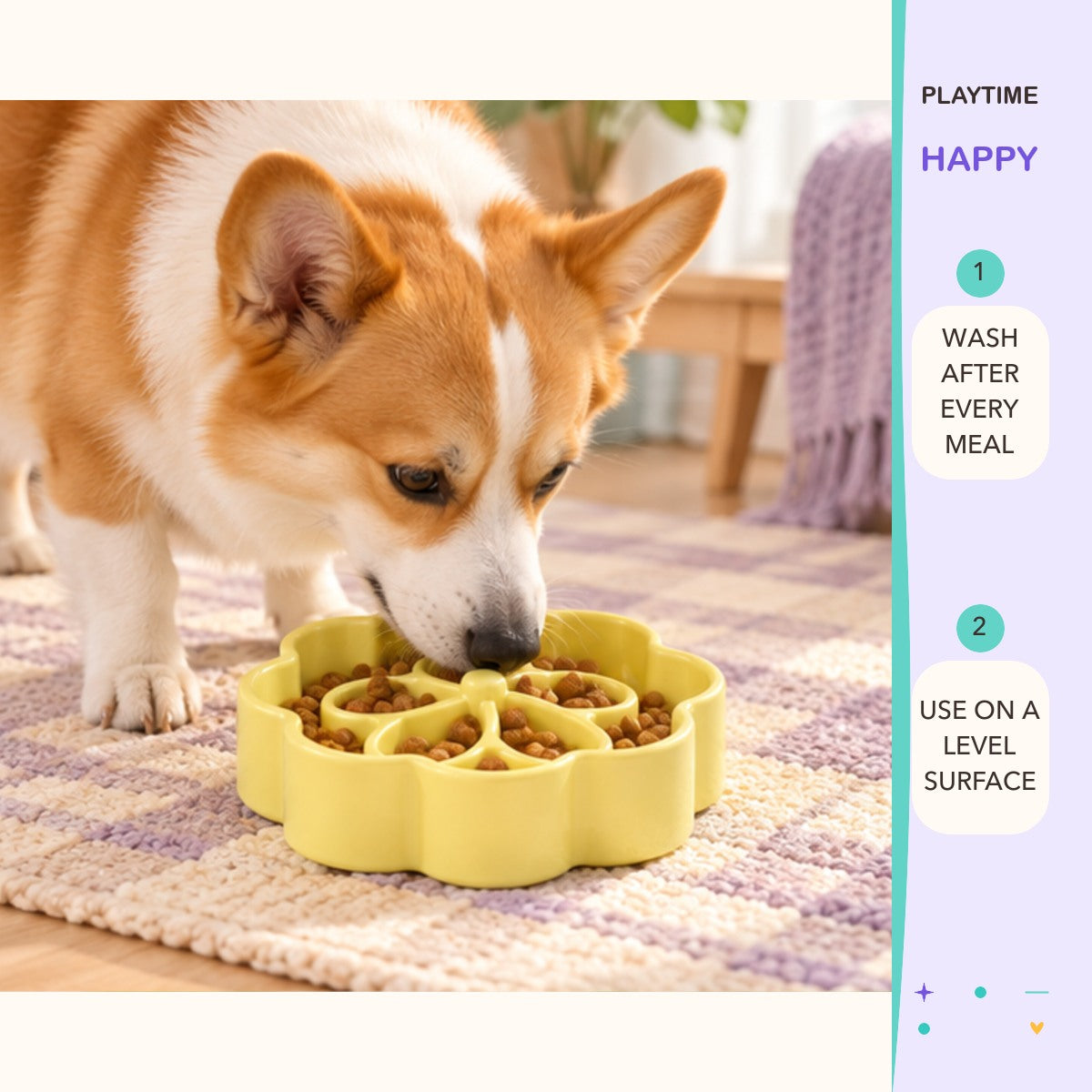 Bloom Feast Slow Feeder Bowl play and care guide