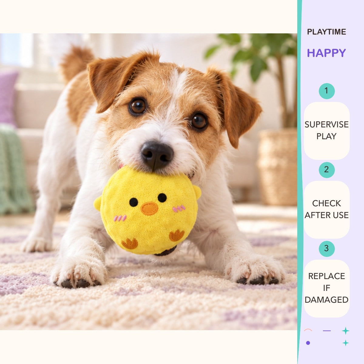 Pocket Puff Squeaky Ball play and care guide