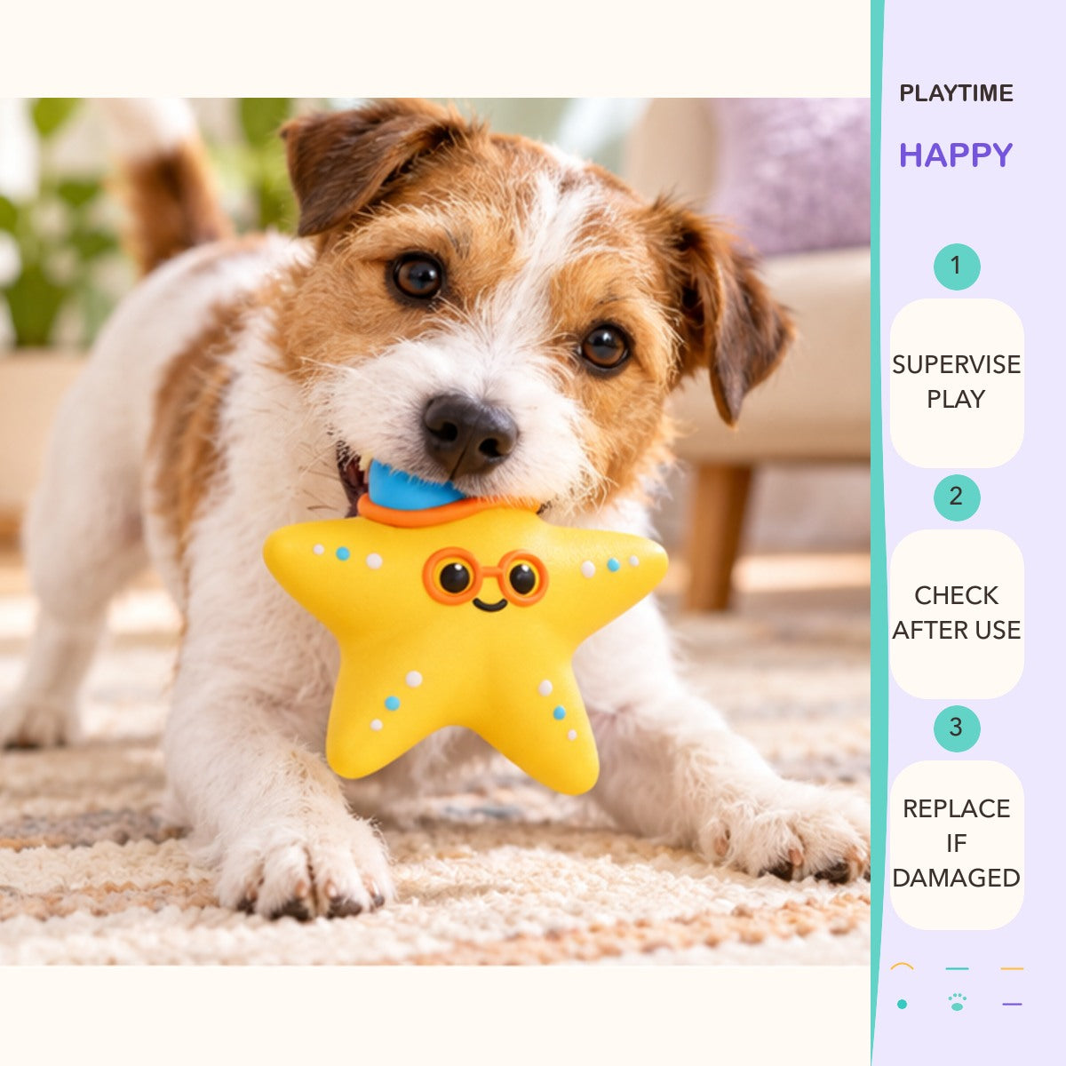Seaside Squeak Latex Toy play and care guide