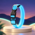 GlowTrack blue rechargeable LED dog collar