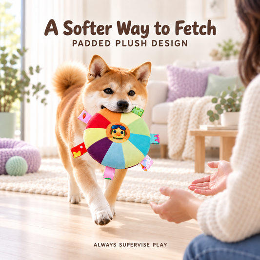 Rainbow Sound Disc Pet Toy — soft fetch